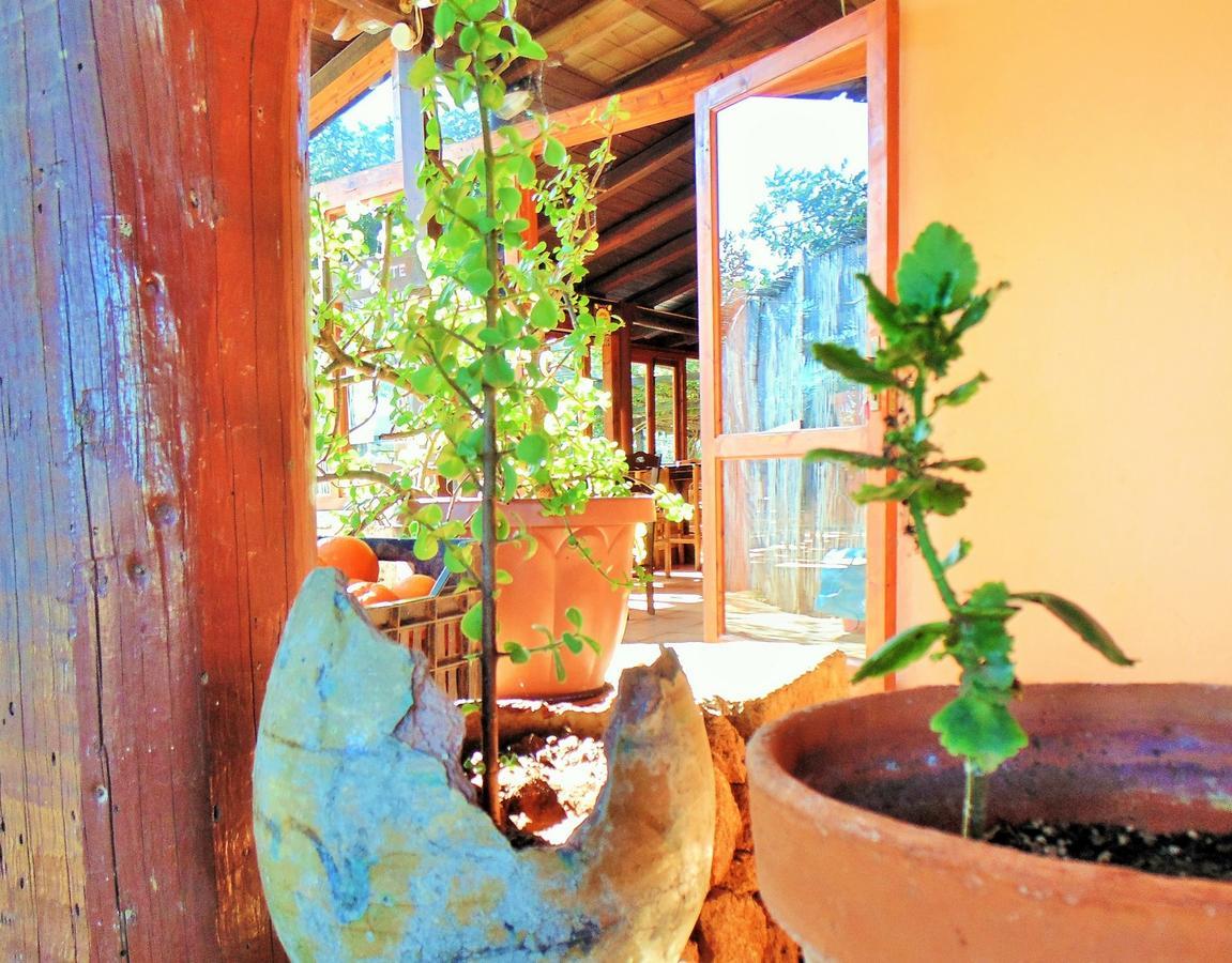 Agriturismo Calamosche 호텔 노토 외부 사진